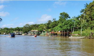 Ilha do Combu