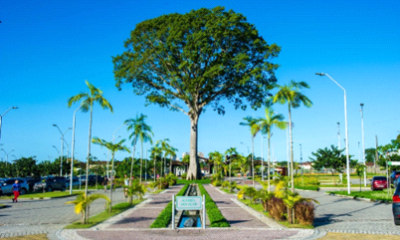 Parque Estadual do Utinga